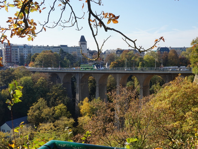 DSC06754n50