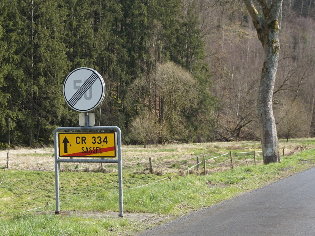 DSC07603sassel_ecr334