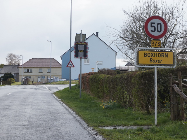 DSC07604boxhornx373