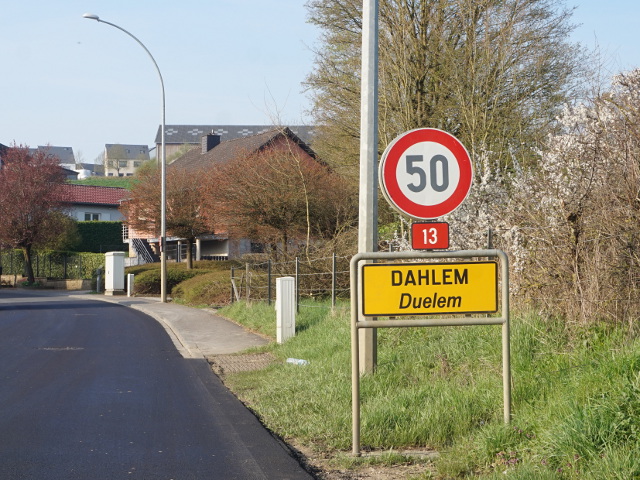 DSC07947dahlemn13