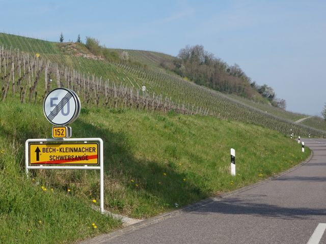 DSC07974schwebsange_ex152