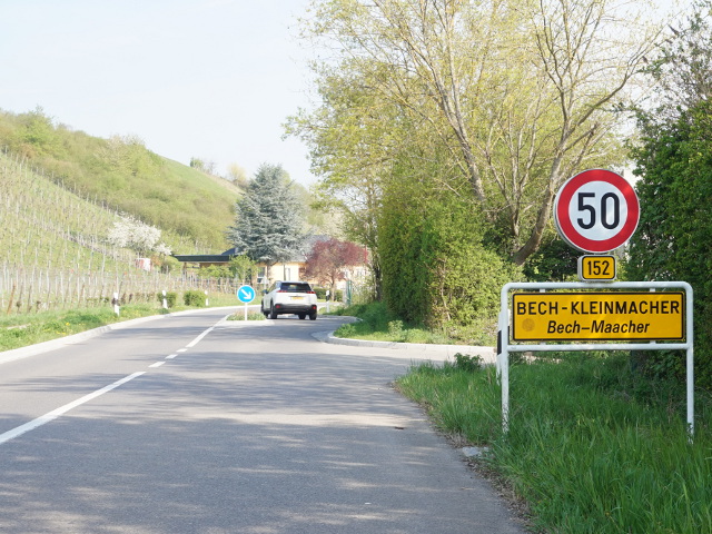 DSC07975bechkleinmacherx152