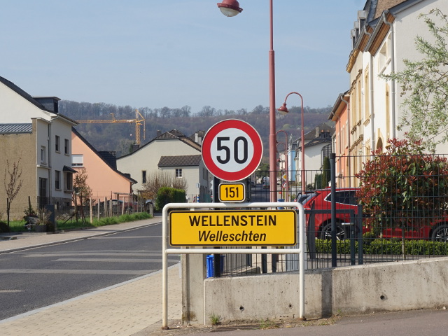 DSC07977wellensteinx151