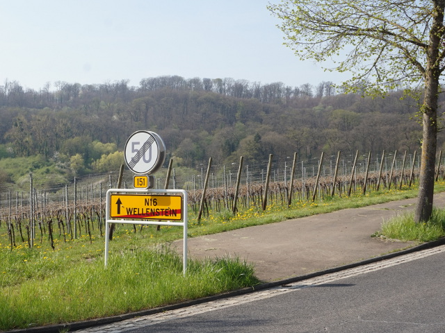 DSC07978wellenstein_ex151n16