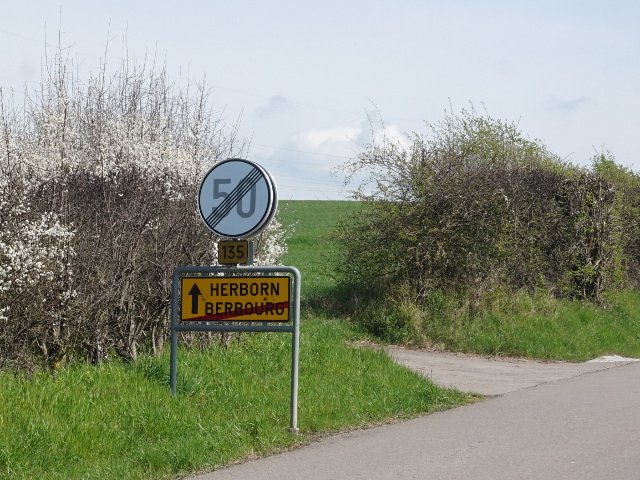 DSC08016berbourg_ex135