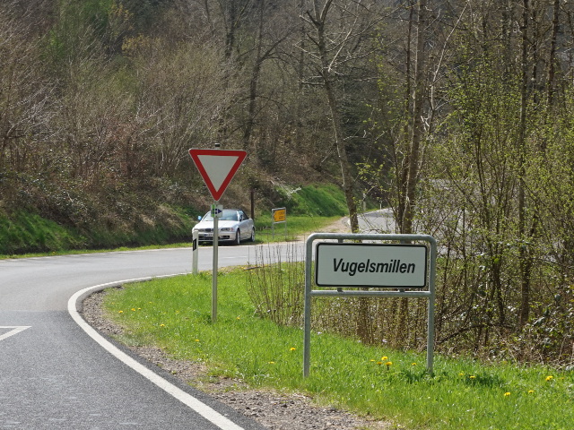 DSC08024vugelsmillen