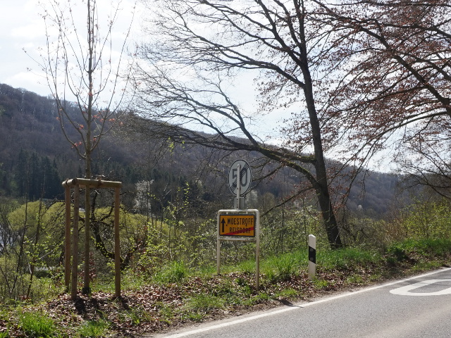 DSC08029reisdorf_e