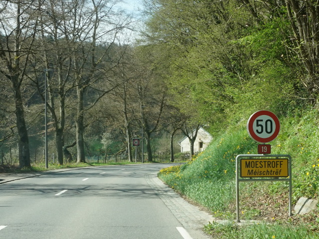 DSC08030moestroffn19