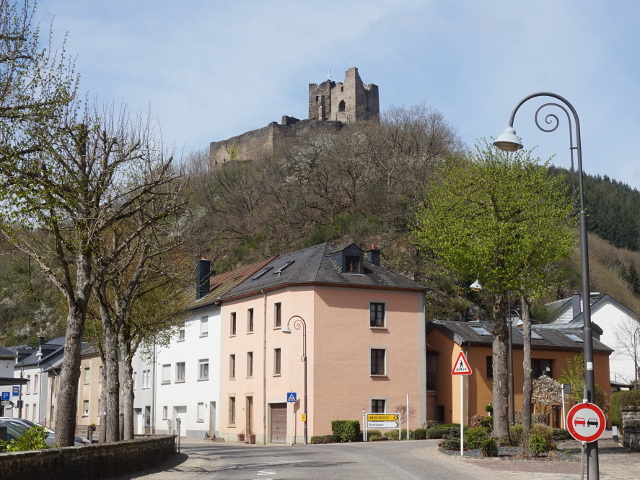 DSC08043brandenbourg_z