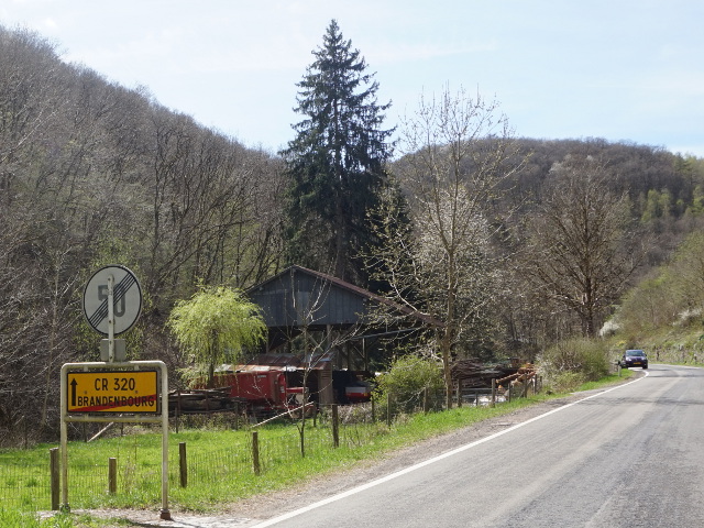 DSC08044brandenbourg_ex320