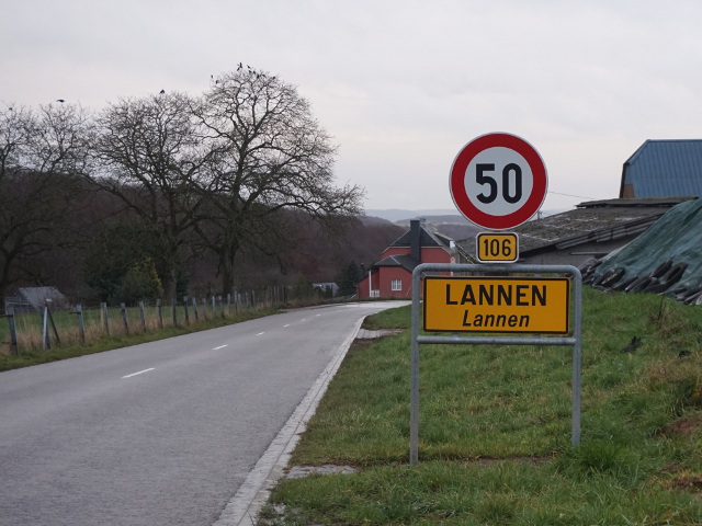 DSC08519lannen