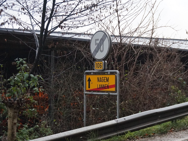 DSC08520lannen_e