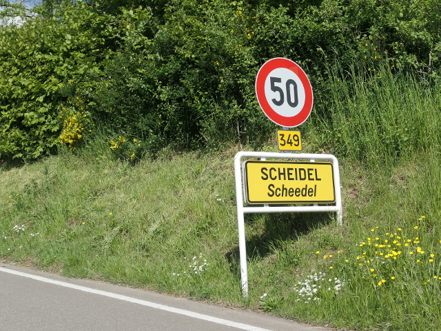 P1270746scheidelx349