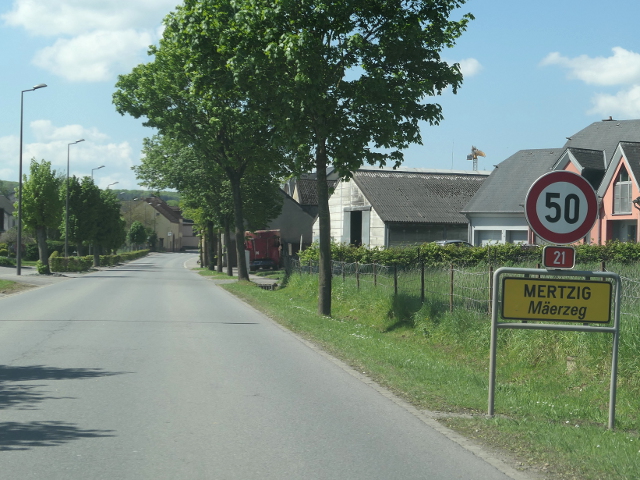 P1270757mertzign21