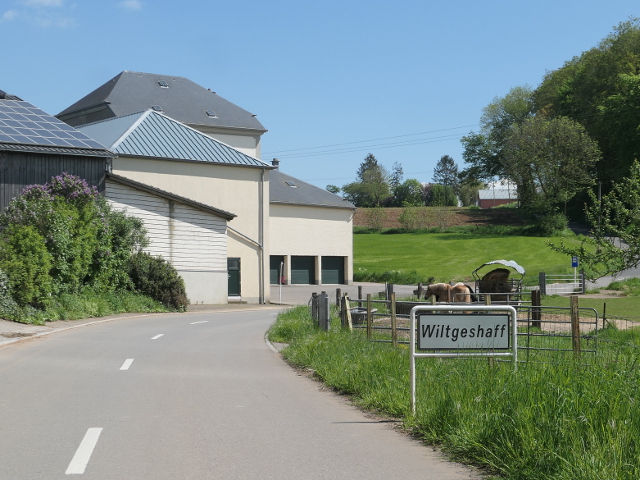 P1270770wiltgeshaff