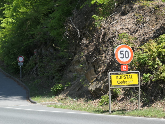 P1270808kopstal