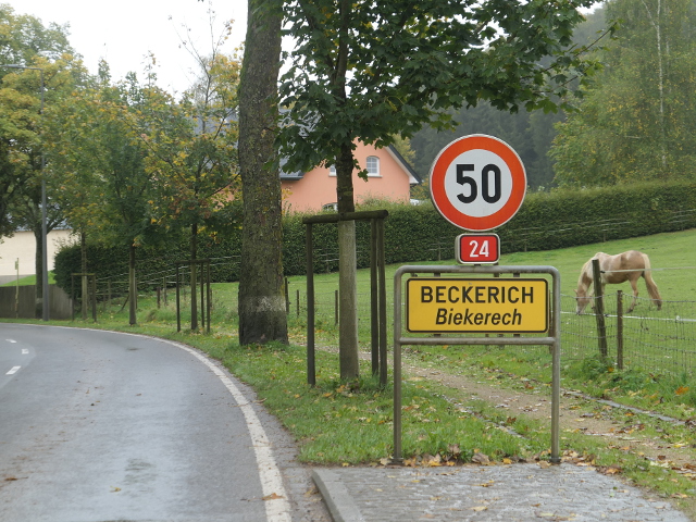P1310530beckerichx24