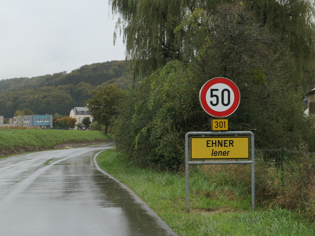 P1310549ehnerx301