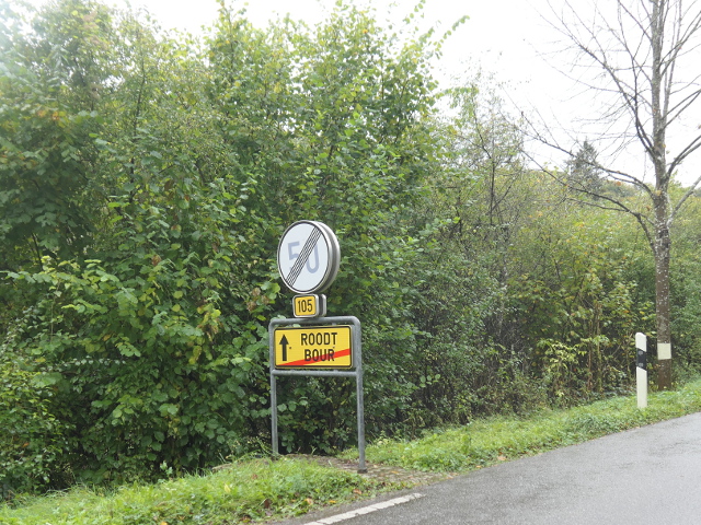 P1310553bour_ex105
