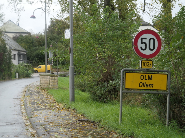 P1310561olmx103a