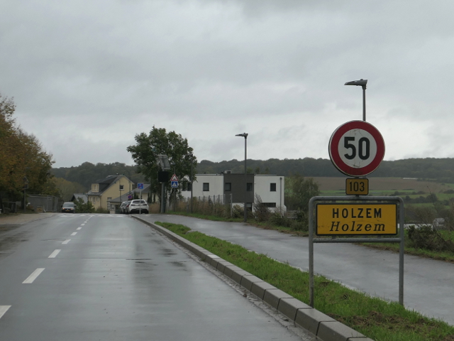 P1310564holzemx103