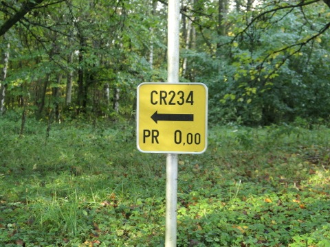 P1320223x234