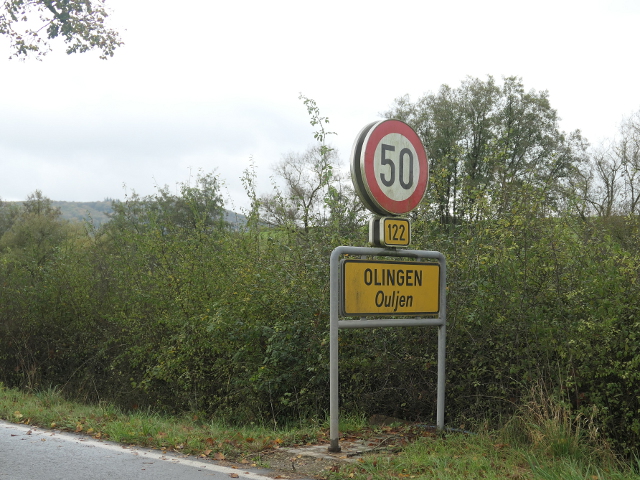 P1320245olingenx122