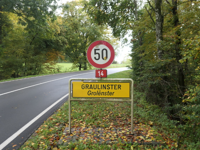 P1320254graulinstern14