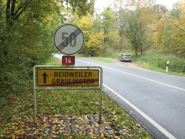 P1320255graulinster_en14