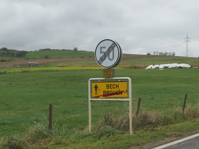 P1320269brouchbiwer_ex132