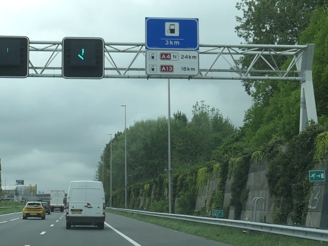 P1040515a12wknorrestein