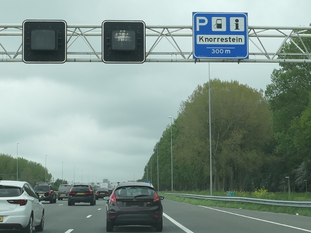 P1040520a12wknorrestein