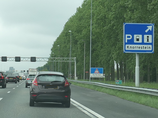 P1040521a12wknorrestein