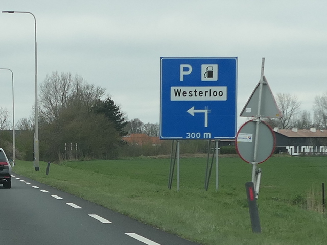 P1000377n57zx9