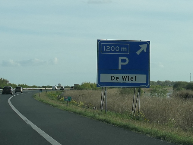 P1030130a6zdewiel