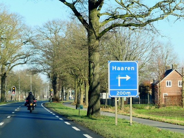P1210169n65nx1d