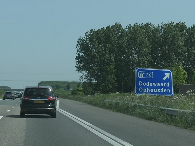 P1050335a15ox36