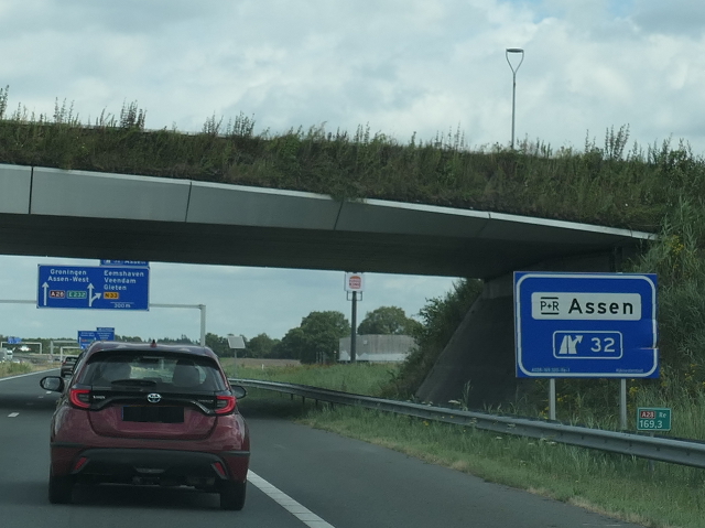 P1080903a28nassen