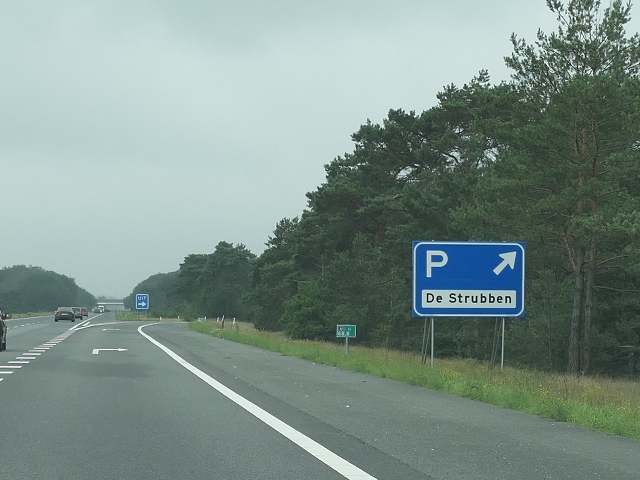 P1100775a1wdestrubben