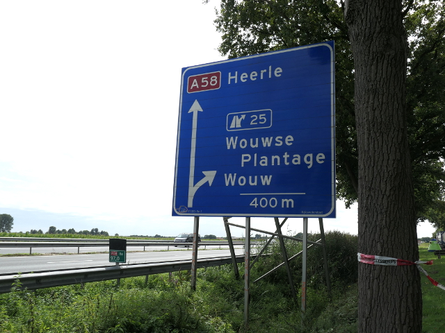 P1110115a58wx25