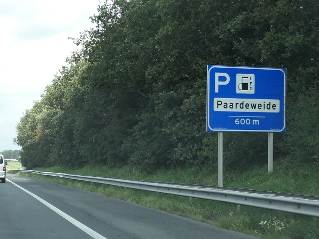 P1110719a32npaardeweide