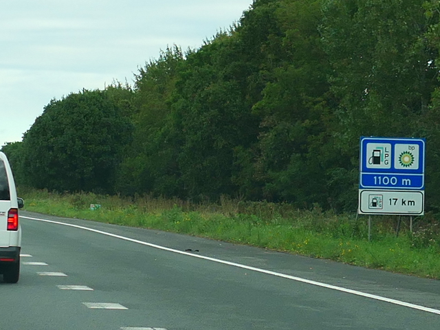 P1130561a44nelsgeest