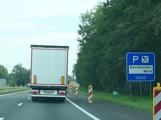 P1150455a1obentheimerwald