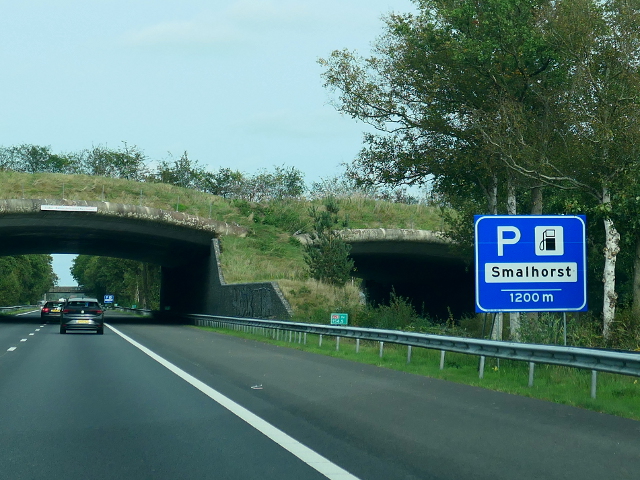 P1160536a28nsmalhorst