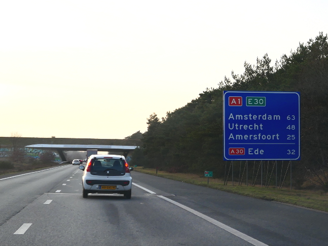 P1240542a1wdestrubben