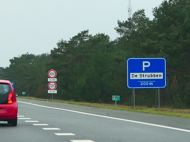 P1250231a1wdestrubben