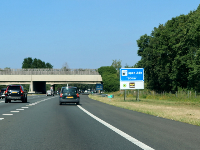 IMG_4008a50ndegagel