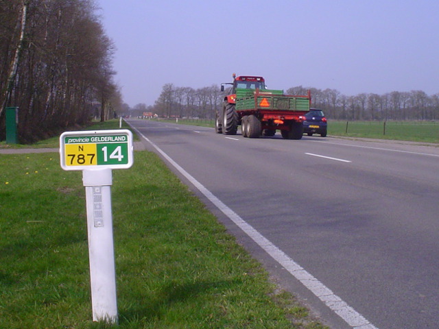 DSC09399n787
