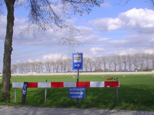 DSC09619a2endoorgaand