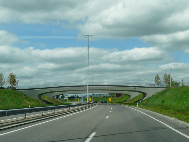 P1050730n46lewenborg